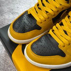 Jordan 1 Retro High Pollen USED