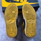 Jordan 1 Retro High Pollen USED